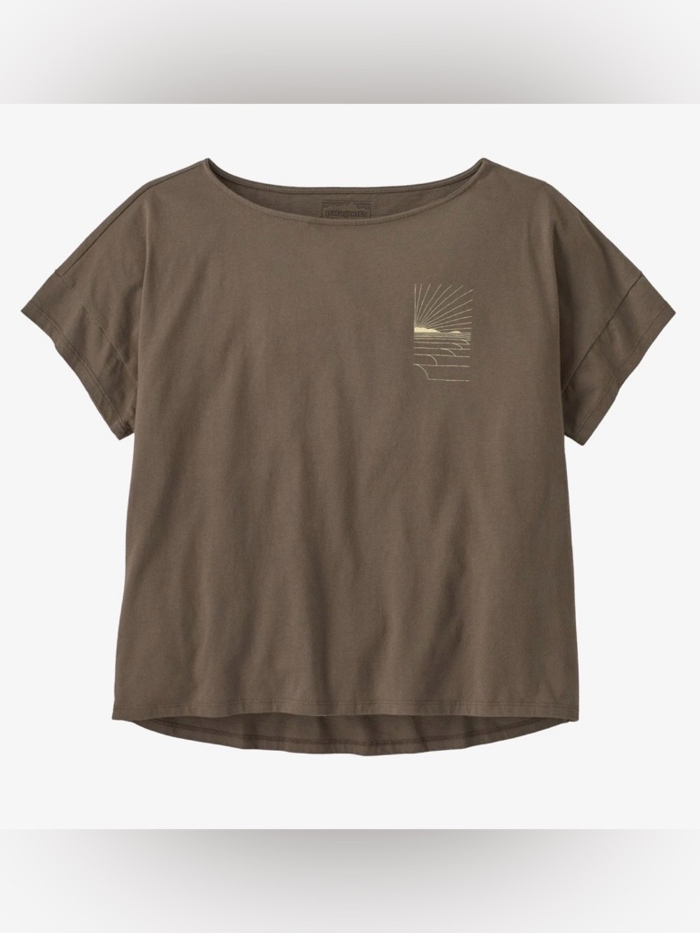 Patagonia Waves Rolling Relaxed Drop-Sleeve Organic Tee